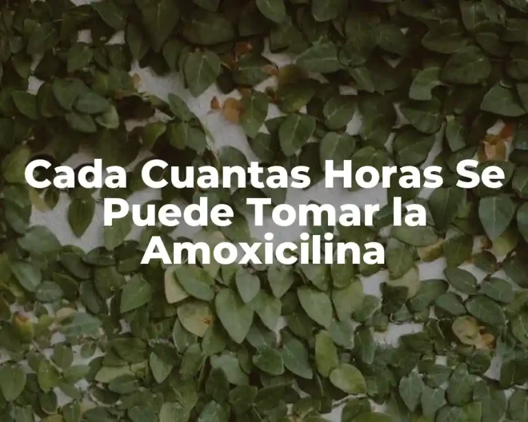 Cada Cuantas Horas Se Puede Tomar la Amoxicilina