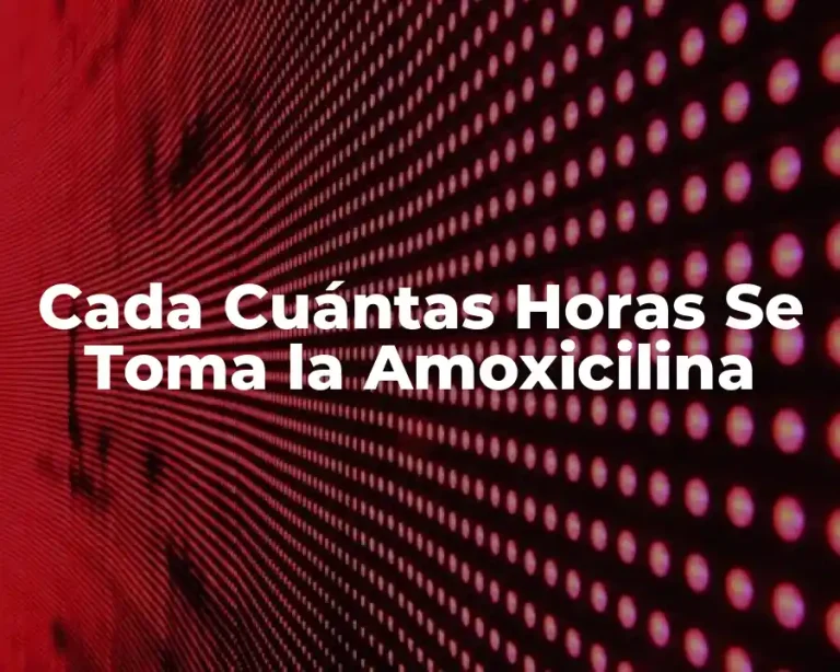 Cada Cuántas Horas Se Toma la Amoxicilina