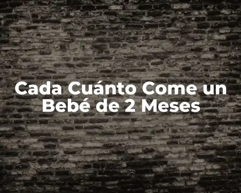 Cada Cuánto Come un Bebé de 2 Meses
