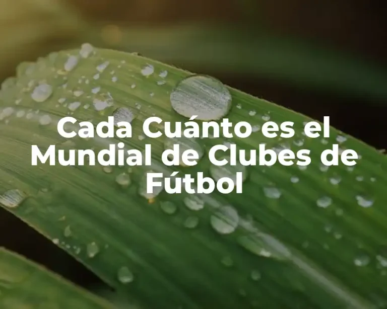 Cada Cuánto es el Mundial de Clubes de Fútbol