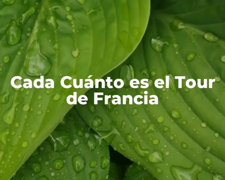 Cada Cuánto es el Tour de Francia