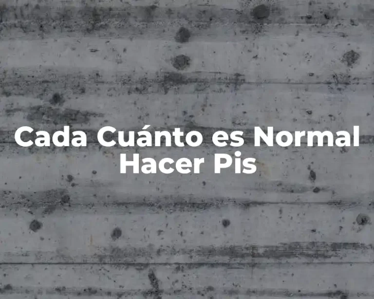 Cada Cuánto es Normal Hacer Pis