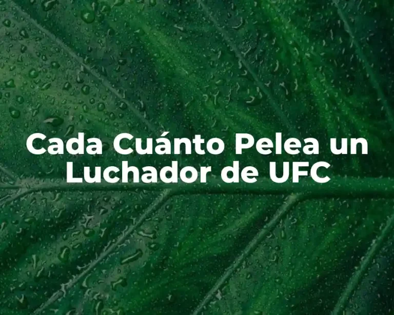 Cada Cuánto Pelea un Luchador de UFC