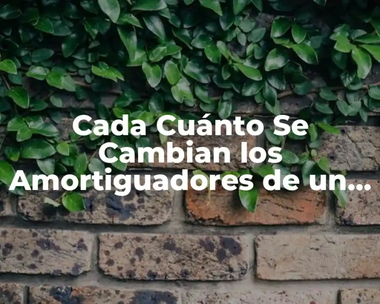 Cada Cuánto Se Cambian los Amortiguadores de un Vehículo