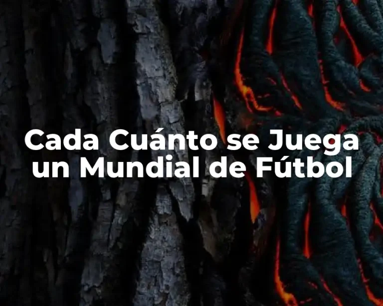 Cada Cuánto se Juega un Mundial de Fútbol