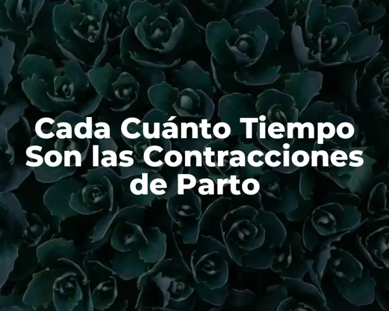 Cada Cuánto Tiempo Son las Contracciones de Parto