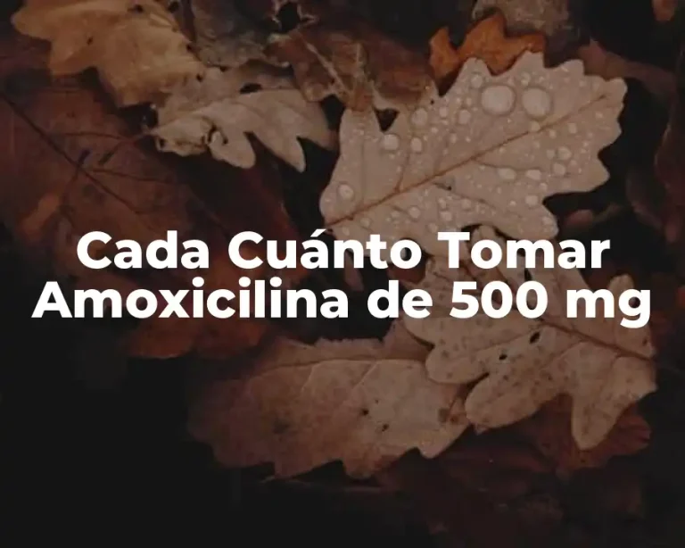 Cada Cuánto Tomar Amoxicilina de 500 mg