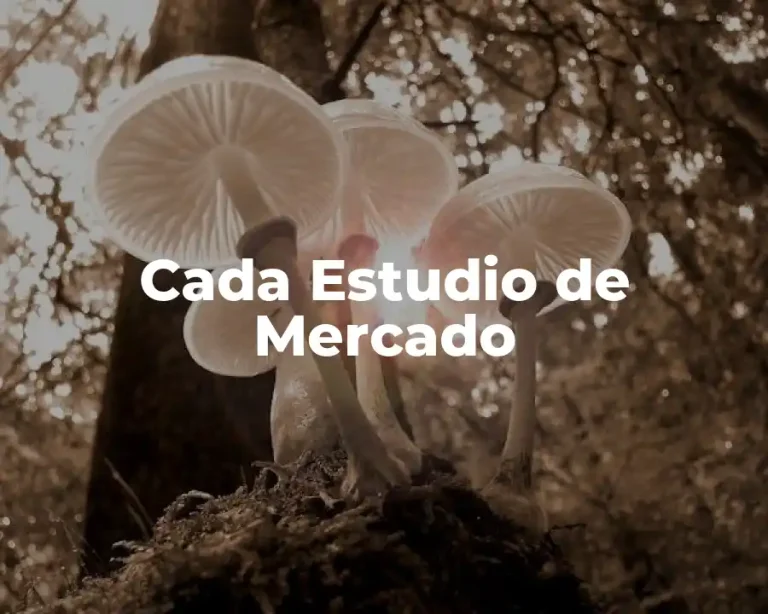 Cada Estudio de Mercado