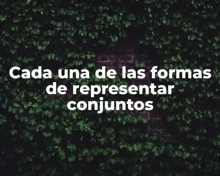 Cada una de las formas de representar conjuntos
