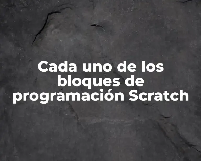 Cada uno de los bloques de programación Scratch
