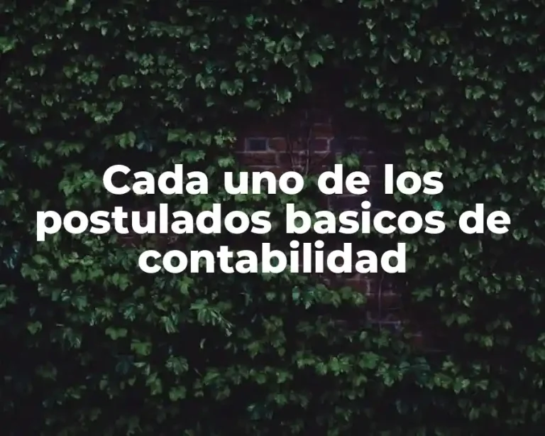 Cada uno de los postulados basicos de contabilidad