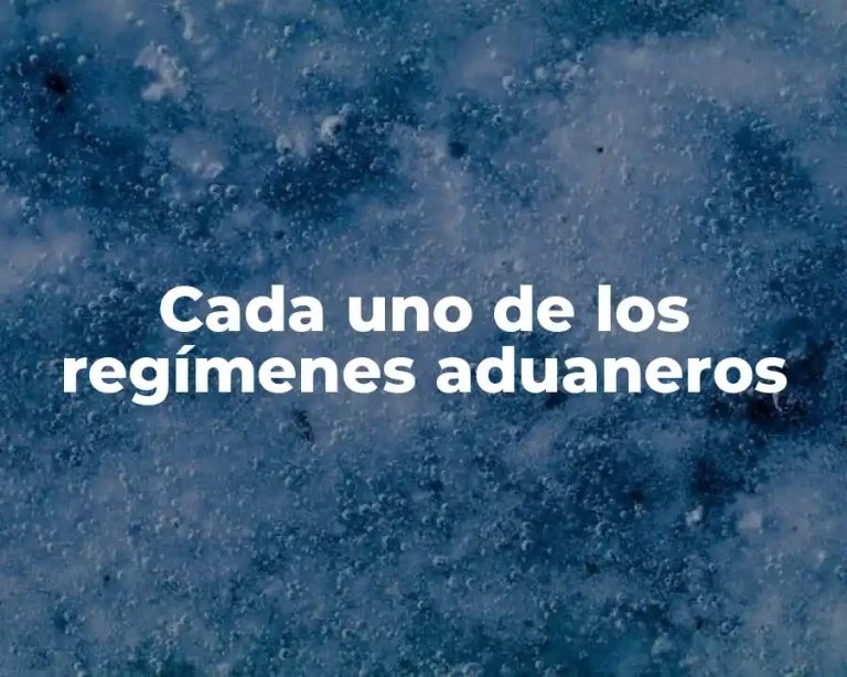 Cada uno de los regímenes aduaneros