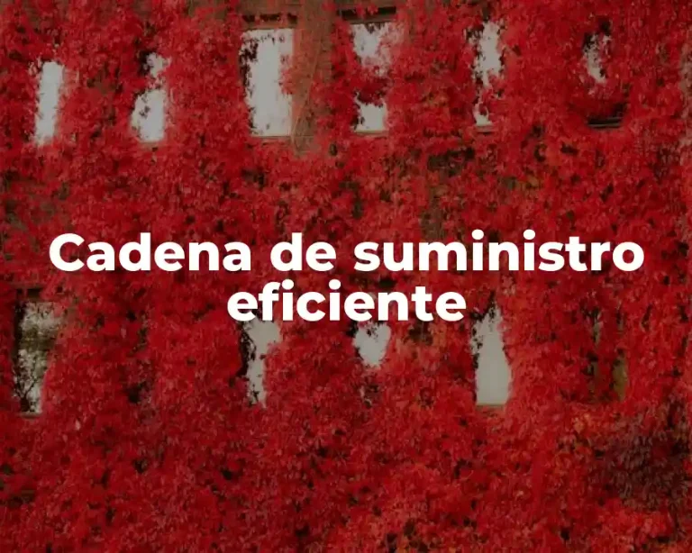 Cadena de suministro eficiente