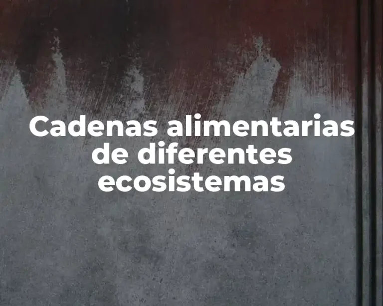 Cadenas alimentarias de diferentes ecosistemas