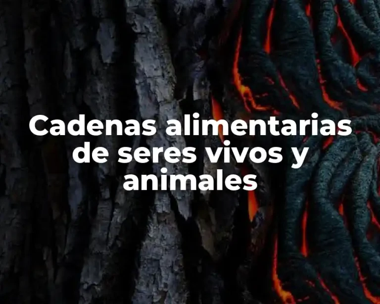 Cadenas alimentarias de seres vivos y animales