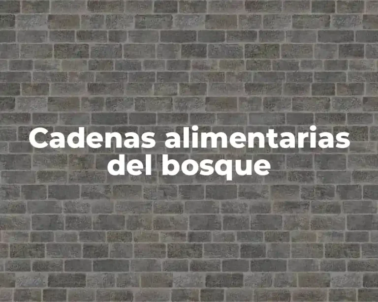 Cadenas alimentarias del bosque