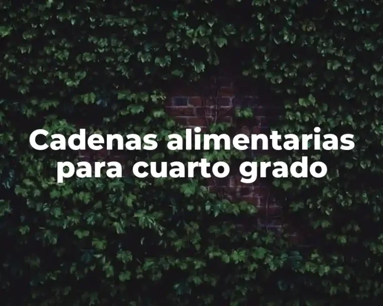 Cadenas alimentarias para cuarto grado
