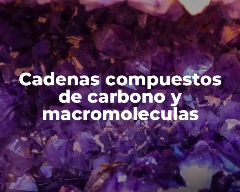 Cadenas compuestos de carbono y macromoleculas