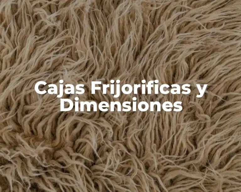 Cajas Frijorificas y Dimensiones