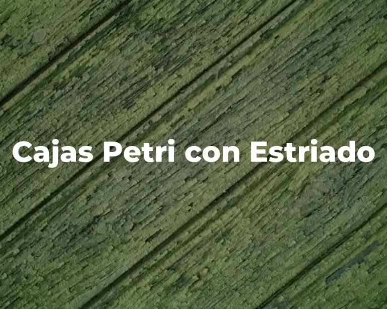 Cajas Petri con Estriado