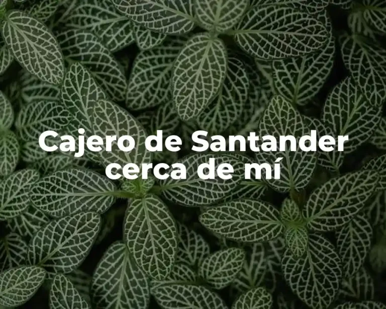 Cajero de Santander cerca de mí