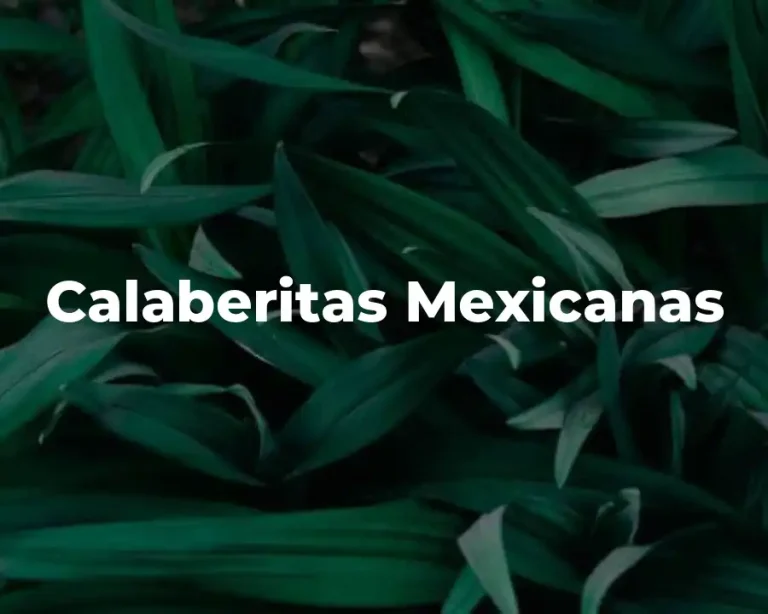 Calaberitas Mexicanas