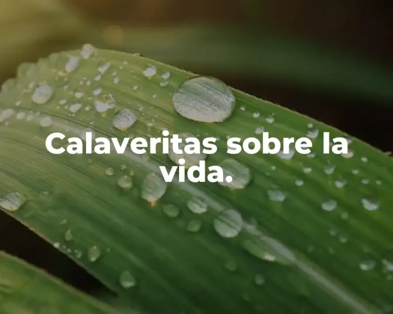 Calaveritas sobre la vida.