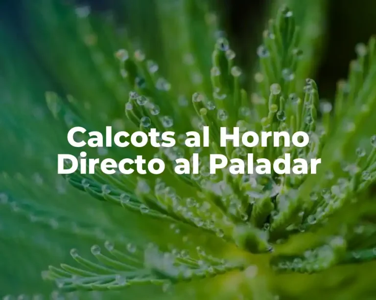 Calcots al Horno Directo al Paladar