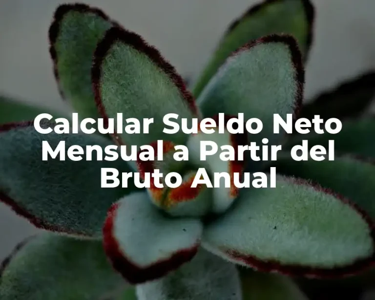Calcular Sueldo Neto Mensual a Partir del Bruto Anual
