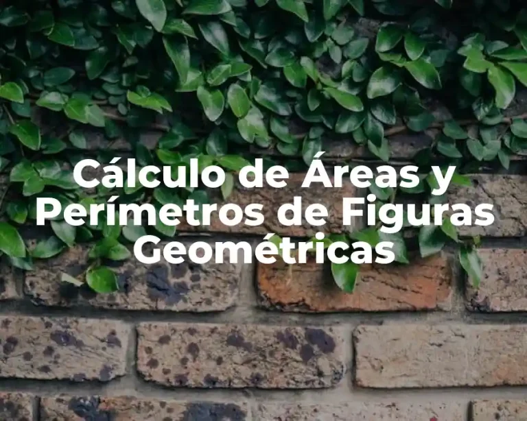 Cálculo de Áreas y Perímetros de Figuras Geométricas