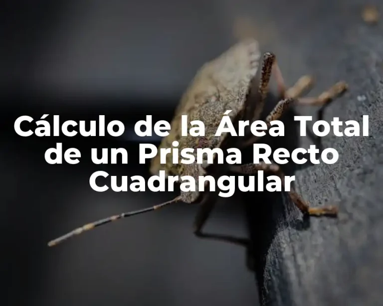 Cálculo de la Área Total de un Prisma Recto Cuadrangular