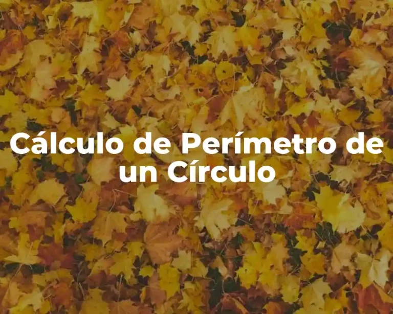 Cálculo de Perímetro de un Círculo