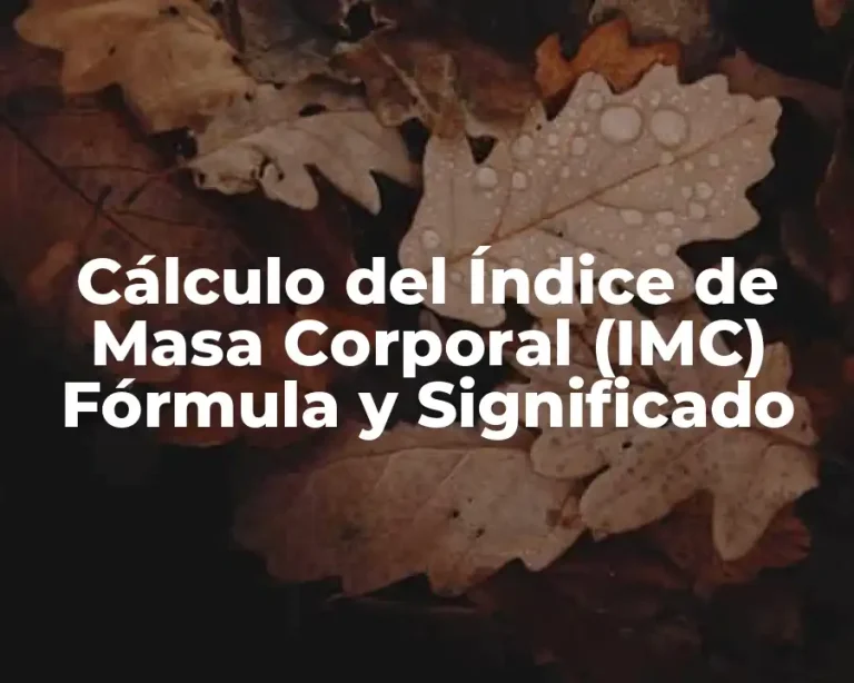 Cálculo del Índice de Masa Corporal (IMC) Fórmula y Significado