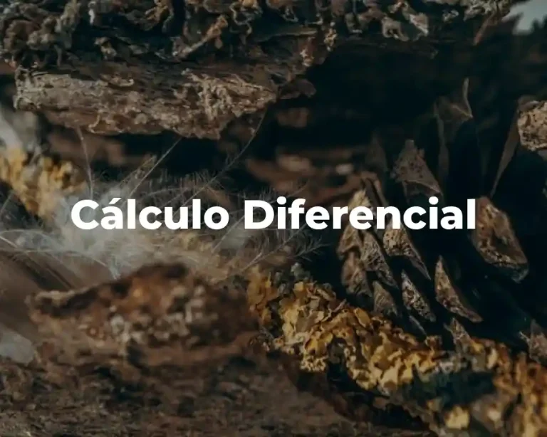 Cálculo Diferencial
