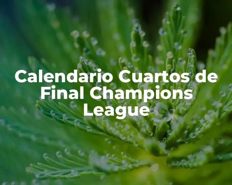 Calendario Cuartos de Final Champions League