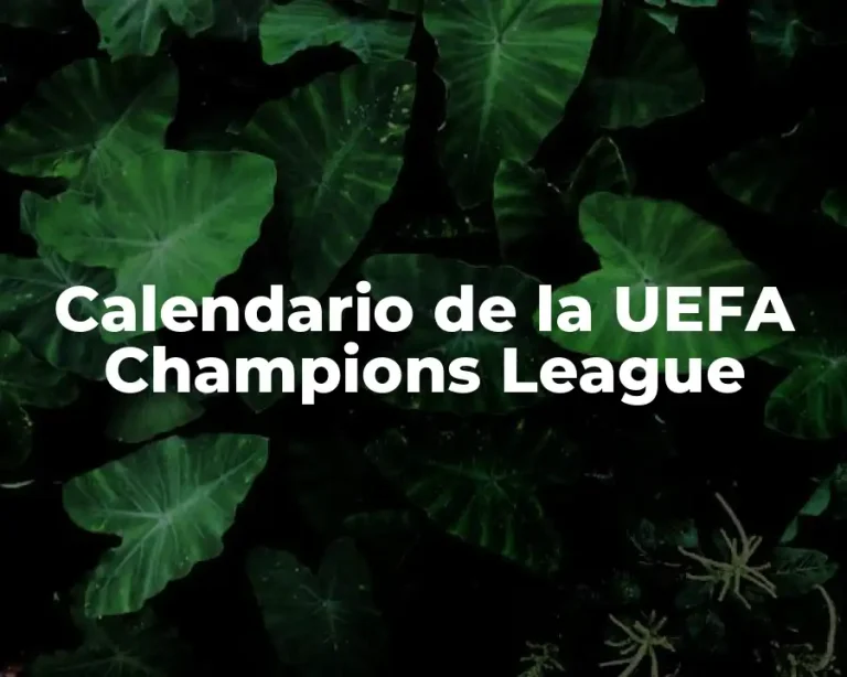 Calendario de la UEFA Champions League