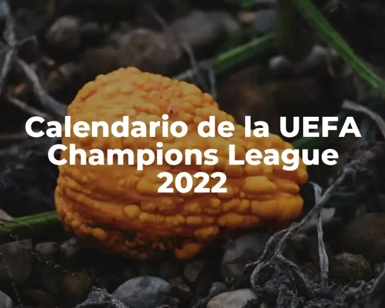 Calendario de la UEFA Champions League 2022