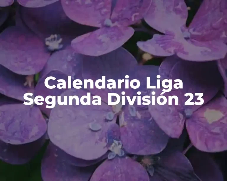 Calendario Liga Segunda División 23