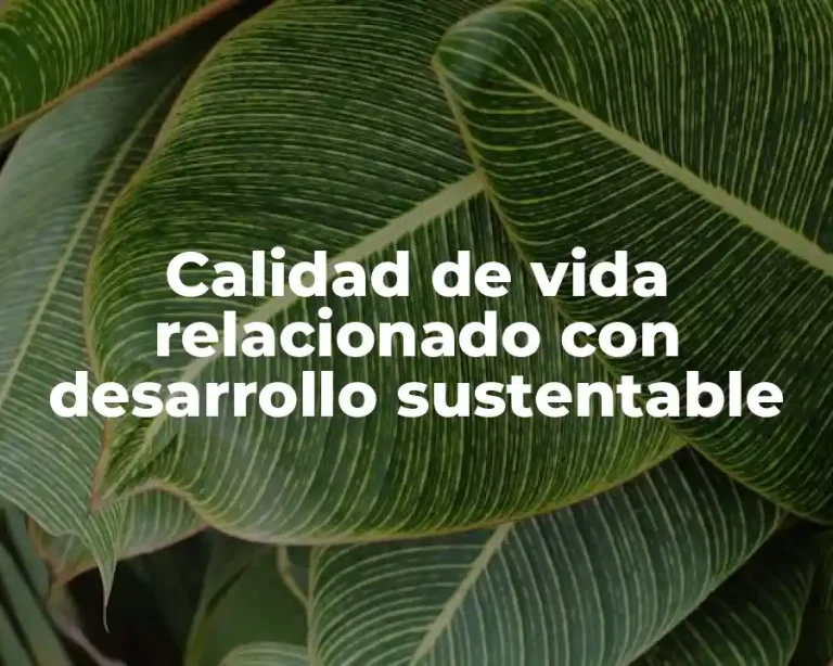 Calidad de vida relacionado con desarrollo sustentable