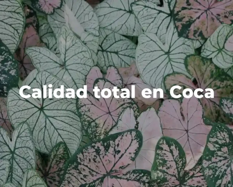 Calidad total en Coca
