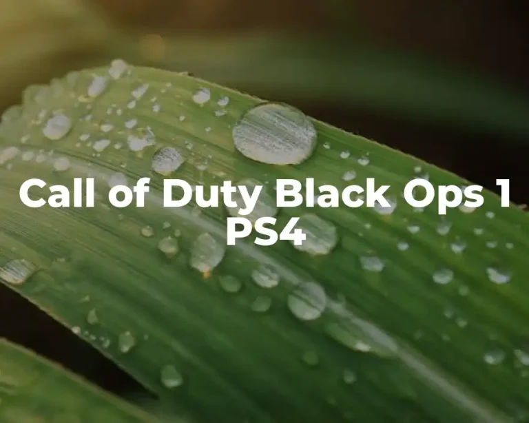 Call of Duty Black Ops 1 PS4