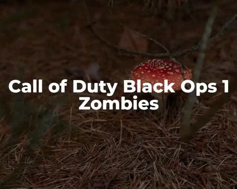 Call of Duty Black Ops 1 Zombies