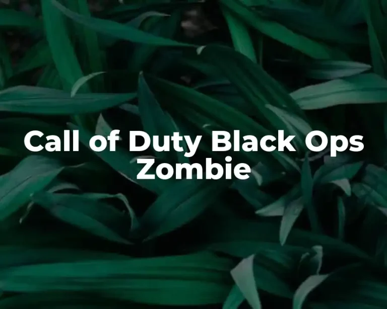 Call of Duty Black Ops Zombie