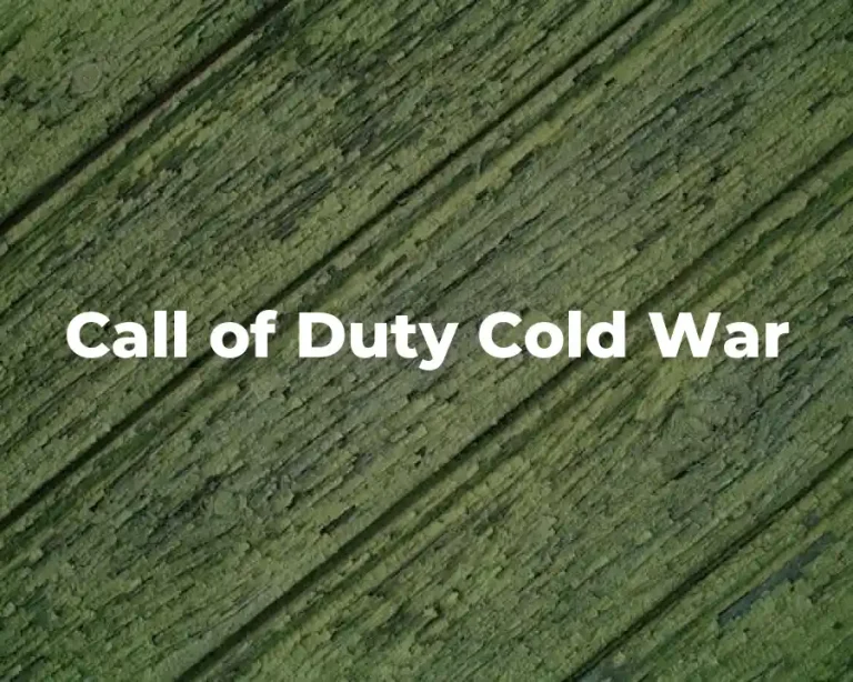 Call of Duty Cold War
