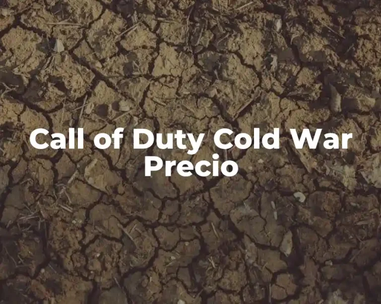 Call of Duty Cold War Precio