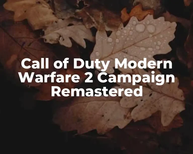 Call of Duty Modern Warfare 2 Campaign Remastered