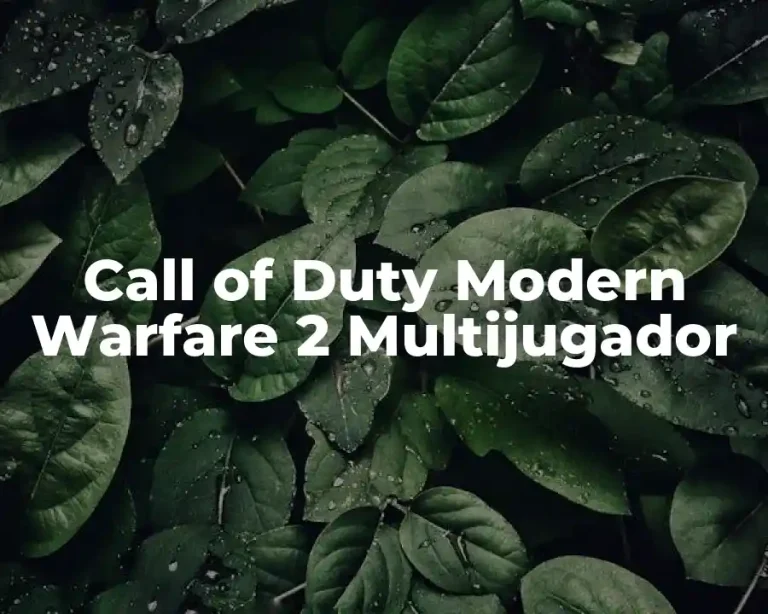 Call of Duty Modern Warfare 2 Multijugador