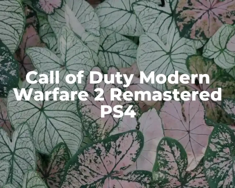 Call of Duty Modern Warfare 2 Remastered PS4