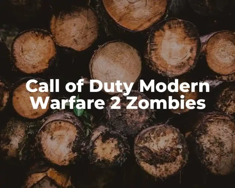 Call of Duty Modern Warfare 2 Zombies