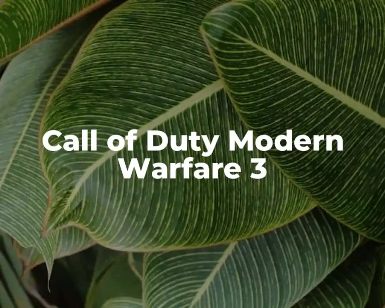 Call of Duty Modern Warfare 3